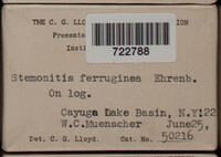 Image Associated With the Occurence